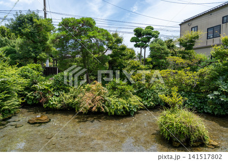 緑豊かな庭園植物と透き通る湧き水池の風情 四明荘 長崎 緑豊かな庭園植物と透き通る湧き水池の風情 四明荘 長崎 141517802