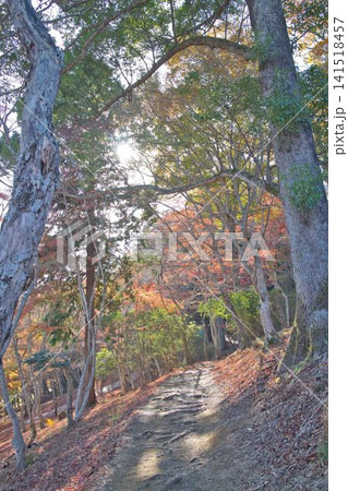 秋の紅葉が美しい秋景色 141518457