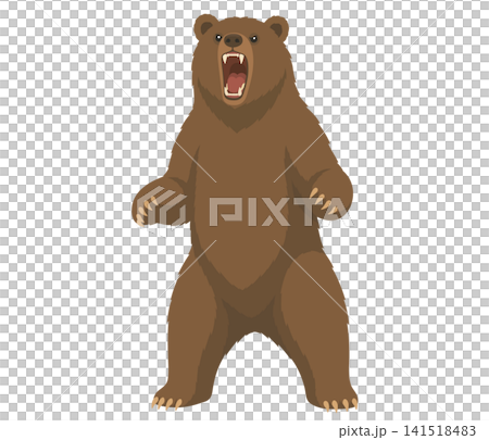 熊,フラットイラスト 熊,フラットイラスト 141518483