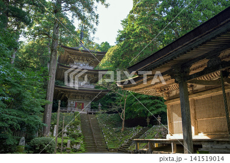 福井 明通寺 国宝の本堂と三重塔 福井 明通寺 国宝の本堂と三重塔 141519014