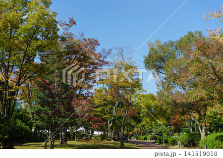 秋が近づく公園 秋が近づく公園 141519018