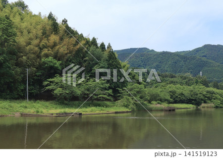 沼と畔の森林(宮城県白石市の馬牛沼) 沼と畔の森林(宮城県白石市の馬牛沼) 141519123
