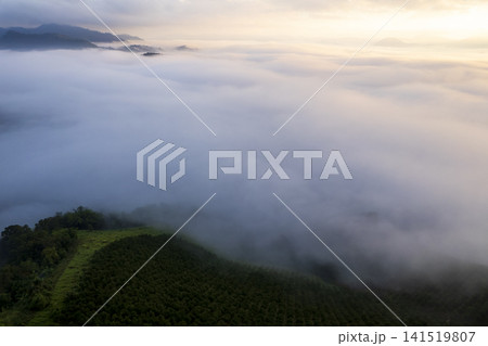 Landscape of Morning Mist with Mountain Layer. mountain ridge and clouds in rural jungle bush forest Landscape of Morning Mist with Mountain Layer. mountain ridge and clouds in rural jungle bush forest 141519807