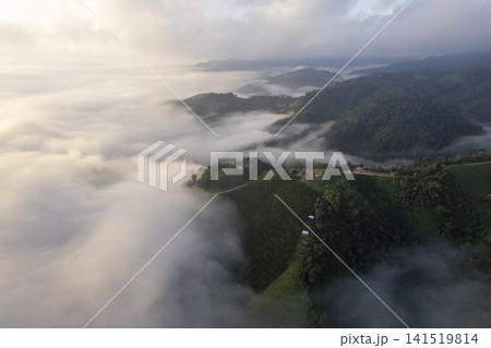 Landscape of Morning Mist with Mountain Layer. mountain ridge and clouds in rural jungle bush forest Landscape of Morning Mist with Mountain Layer. mountain ridge and clouds in rural jungle bush forest 141519814
