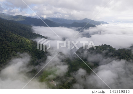 Landscape of Morning Mist with Mountain Layer. mountain ridge and clouds in rural jungle bush forest Landscape of Morning Mist with Mountain Layer. mountain ridge and clouds in rural jungle bush forest 141519816
