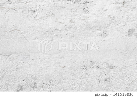 Light Gray Stucco Wall Texture. Abstract Background 141519836