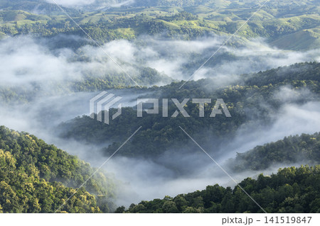 Landscape of Morning Mist with Mountain Layer. mountain ridge and clouds in rural jungle bush forest Landscape of Morning Mist with Mountain Layer. mountain ridge and clouds in rural jungle bush forest 141519847
