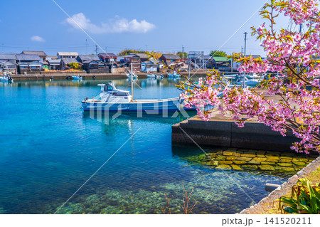 【重要伝統的建造物群保存地区】出羽島 河津桜と漁港と西波止集落7 徳島県海部郡牟岐町 【重要伝統的建造物群保存地区】出羽島 河津桜と漁港と西波止集落7 徳島県海部郡牟岐町 141520211