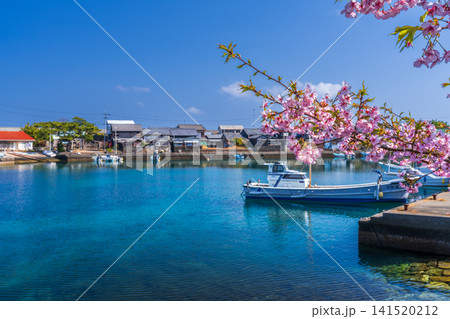 【重要伝統的建造物群保存地区】出羽島 河津桜と漁港と西波止集落6 徳島県海部郡牟岐町 【重要伝統的建造物群保存地区】出羽島 河津桜と漁港と西波止集落6 徳島県海部郡牟岐町 141520212