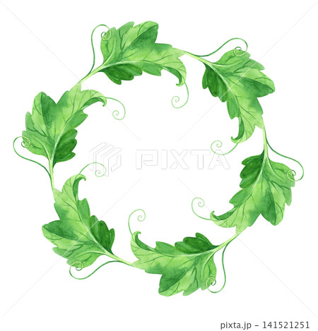 Wreath of the pumpkin leaves. Watercolor illustration. Handmade art work. For packaging design, cards, cover, prints, product labels and fabric. Wreath of the pumpkin leaves. Watercolor illustration. Handmade art work. For packaging design, cards, cover, prints, product labels and fabric. 141521251