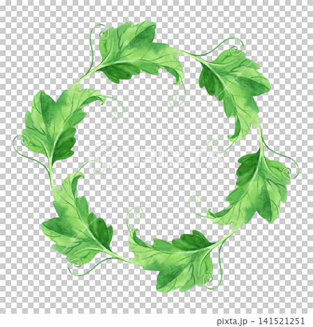 Wreath of the pumpkin leaves. Watercolor illustration. Handmade art work. For packaging design, cards, cover, prints, product labels and fabric. Wreath of the pumpkin leaves. Watercolor illustration. Handmade art work. For packaging design, cards, cover, prints, product labels and fabric. 141521251