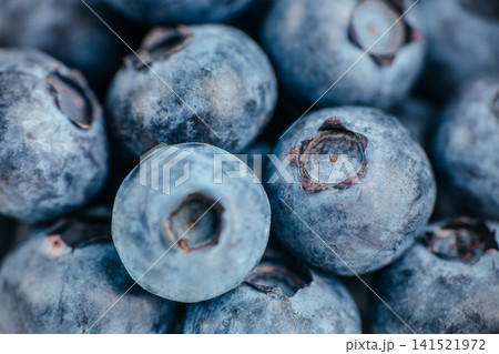 Macro Close Up of Fresh Blueberries with Natural Bloom Texture Macro Close Up of Fresh Blueberries with Natural Bloom Texture 141521972