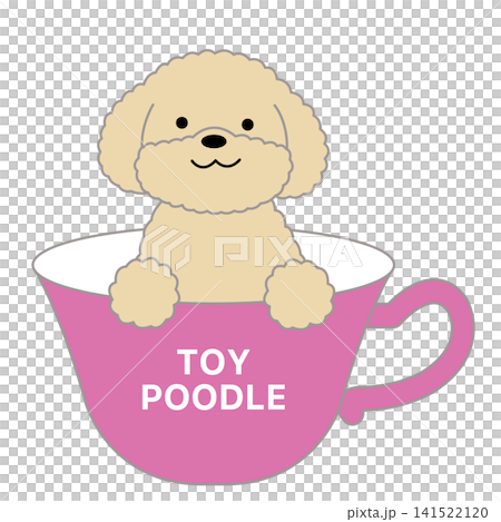 ティーカップに入ったかわいいトイプードル 141522120