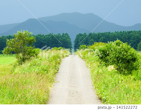 夏の北海道中標津、標津周辺の何も無いシンプルな道のある風景 夏の北海道中標津、標津周辺の何も無いシンプルな道のある風景 141522272