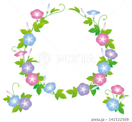 夏の花朝顔10 夏の花朝顔10 141522509