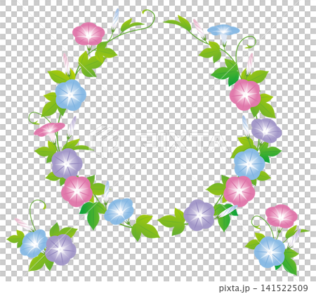 夏の花朝顔10 夏の花朝顔10 141522509