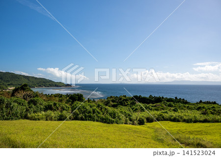 石垣島の自然 石垣島の自然 141523024