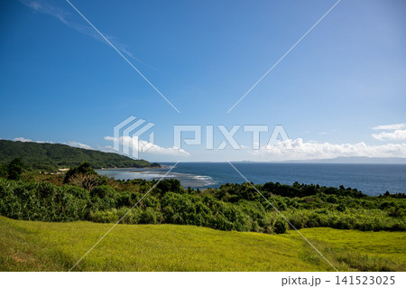 石垣島の自然 石垣島の自然 141523025