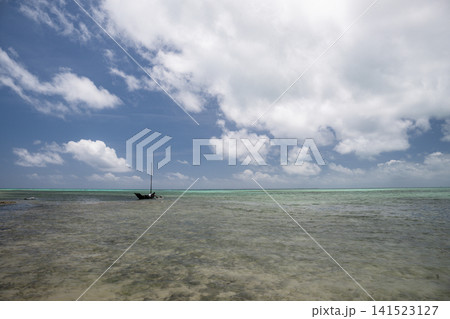 石垣島の自然 石垣島の自然 141523127