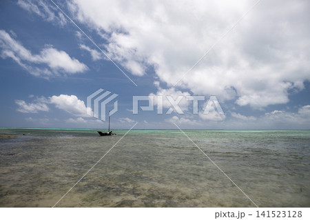石垣島の自然 石垣島の自然 141523128