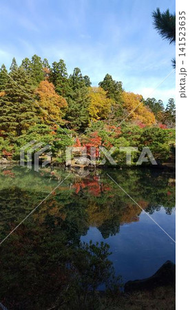 青空と池と紅葉 青空と池と紅葉 141523635