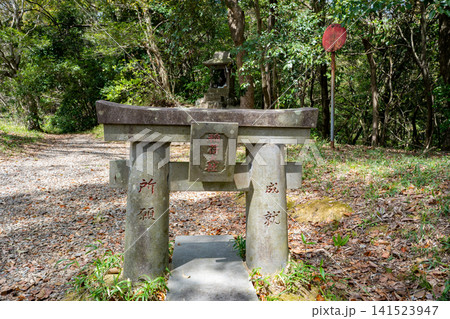 蛇ヶ谷稲荷神社の鳥居の風景(玉名市) 蛇ヶ谷稲荷神社の鳥居の風景(玉名市) 141523947