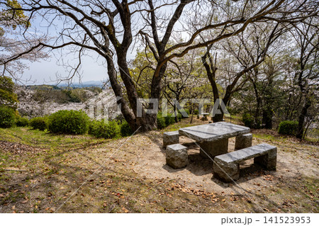 蛇ヶ谷公園の桜の風景（玉名市） 141523953