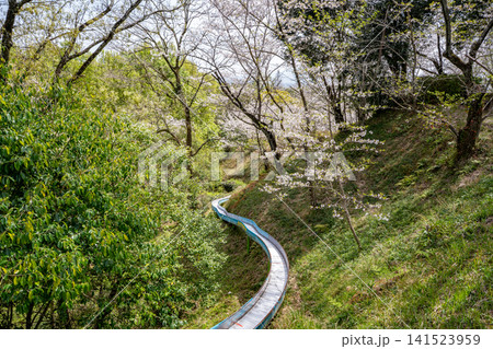 蛇ヶ谷公園の桜の風景（玉名市） 141523959