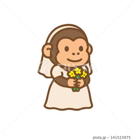 cute monkey wearing wedding dress 141523975