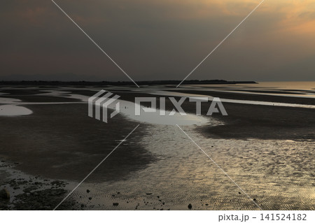 遠浅海岸の夕暮れ 遠浅海岸の夕暮れ 141524182