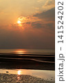 遠浅海岸の夕暮れ 141524202