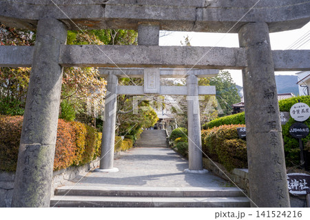 雲仙温泉神社の鳥居と参道（雲仙市） 141524216