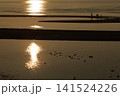 遠浅海岸の夕暮れ 141524226