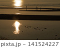 遠浅海岸の夕暮れ 141524227