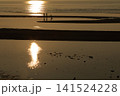 遠浅海岸の夕暮れ 141524228