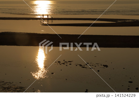 遠浅海岸の夕暮れ 遠浅海岸の夕暮れ 141524229