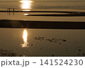 遠浅海岸の夕暮れ 141524230
