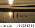 遠浅海岸の夕暮れ 141524231