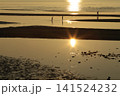 遠浅海岸の夕暮れ 141524232