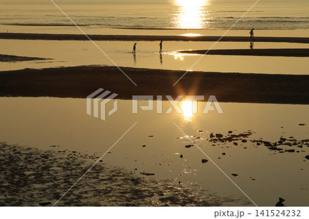 遠浅海岸の夕暮れ 遠浅海岸の夕暮れ 141524232