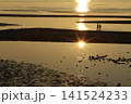 遠浅海岸の夕暮れ 141524233