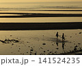 遠浅海岸の夕暮れ 141524235
