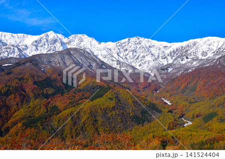 秋　白馬連峰　白馬三山　白馬鑓ヶ岳　杓子岳　白馬岳 141524404