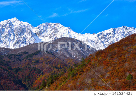 秋　白馬連峰　白馬三山　白馬鑓ヶ岳　杓子岳　白馬岳 141524423