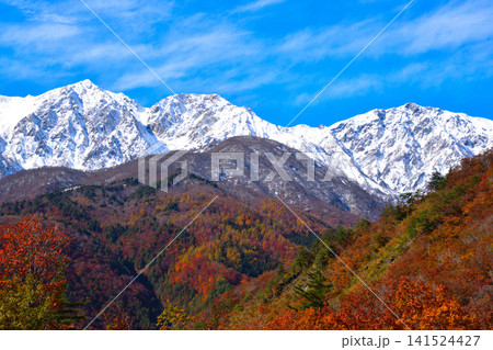 秋　白馬連峰　白馬三山　白馬鑓ヶ岳　杓子岳　白馬岳 141524427