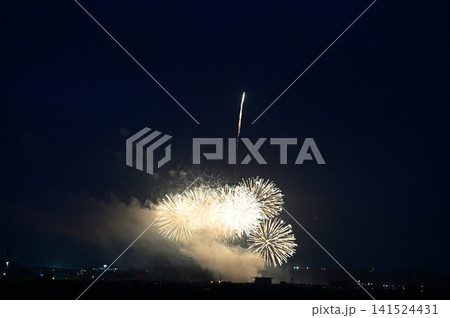 夏の夜空を彩る花火 夏の夜空を彩る花火 141524431