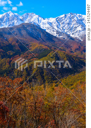 秋 白馬連峰 白馬三山 白馬鑓ヶ岳 杓子岳 白馬岳 秋 白馬連峰 白馬三山 白馬鑓ヶ岳 杓子岳 白馬岳 141524497