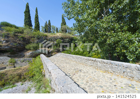 Old bridge over the Ribnica River  141524525