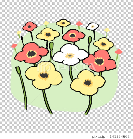Poppy flower field Poppy flower field 141524662