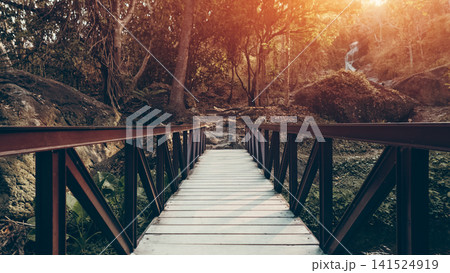 Wooden bridge perspective leading to waterfall trail in forest, scenic nature walkway entrance with trees rocks and sunlight in jungle park Wooden bridge perspective leading to waterfall trail in forest, scenic nature walkway entrance with trees rocks and sunlight in jungle park 141524919
